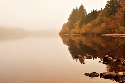 Misty lake