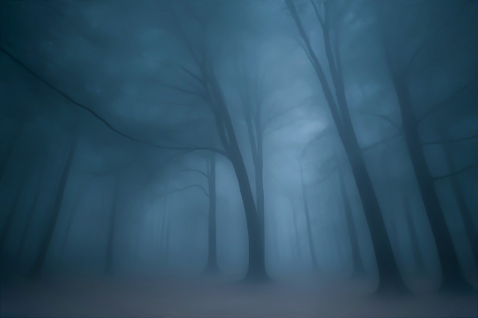 Silent wood