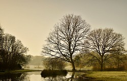 Calm
