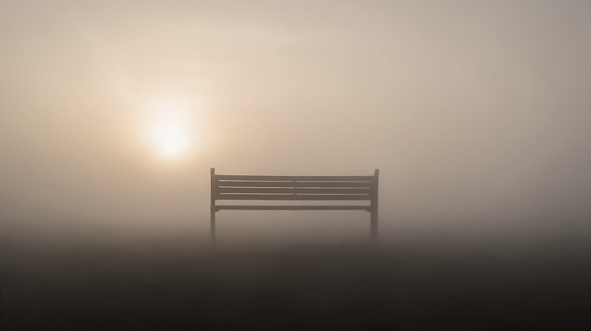Contemplation