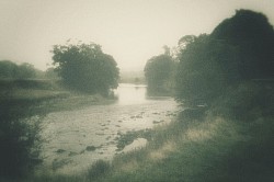 Rainswept bank